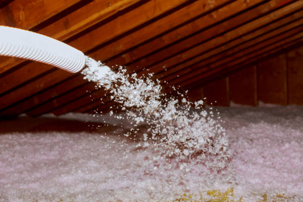 Foam Insulation Services